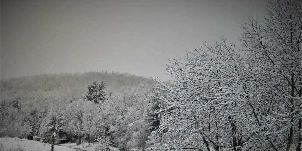 The Triad saw a round of wintry weather overnight, with snow accumulations around a dusting to an inch in the Triad, and up to 6 inches in the mountains.